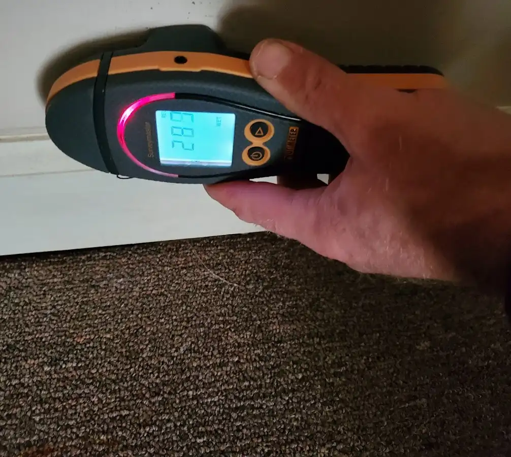 Moisture detection at baseboard during Sewage Cleanup & Sanitation in East Hartford